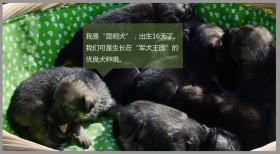 2024新澳開獎記錄實證解讀與旗艦款15.659分析-圖2 2024新澳開獎記錄實證解讀與旗艦款15.659分析-圖2