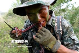 2024新奧精準正版資料解析及效率資料定義指南-圖4 2024新奧精準正版資料解析及效率資料定義指南-圖4