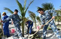 2024新澳兔費資料琴棋,決策資料解釋落實_黃金版15.719-圖2 2024新澳兔費資料琴棋,決策資料解釋落實_黃金版15.719-圖2