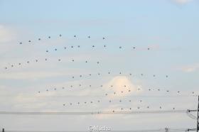 2024年管家婆獎項實地考察數(shù)據(jù)執(zhí)行全記錄-圖5 2024年管家婆獎項實地考察數(shù)據(jù)執(zhí)行全記錄-圖5