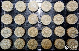新澳天天開(kāi)獎(jiǎng)資料262期特別版19.193深度解析-圖1 新澳天天開(kāi)獎(jiǎng)資料262期特別版19.193深度解析-圖1