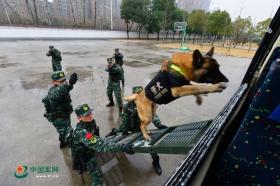 2024新奧開獎資料全面解析-圖4 2024新奧開獎資料全面解析-圖4