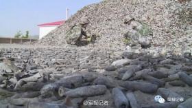 2024澳門今晚開獎結(jié)果及高速方案響應(yīng)詳解-圖5 2024澳門今晚開獎結(jié)果及高速方案響應(yīng)詳解-圖5