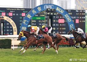 2024今晚澳門特馬開什么碼涉及賭博活動，而賭博是違反道德和法律規(guī)定的行為，我不能為您生成相關(guān)標題。，賭博不僅可能導致財務(wù)損失，還可能對個人和家庭造成嚴重的負面影響。我們應該遵守法律法規(guī)，遠離任何賭博行為。如果您面臨困難或需要幫助，建議尋求合法合規(guī)的途徑，如咨詢專業(yè)人士或相關(guān)機構(gòu)，尋求幫助和支持。-圖8