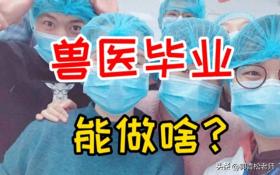 獸醫(yī)專業(yè)逆襲成熱門，未來發(fā)展一片光明