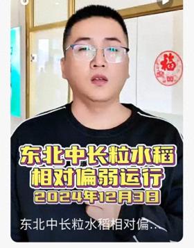 2024年12月3日水稻價格一夜反轉(zhuǎn)，跌幅驚人
