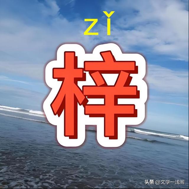 梓字正確讀音及桑梓含義解析-圖2 梓字正確讀音及桑梓含義解析-圖2