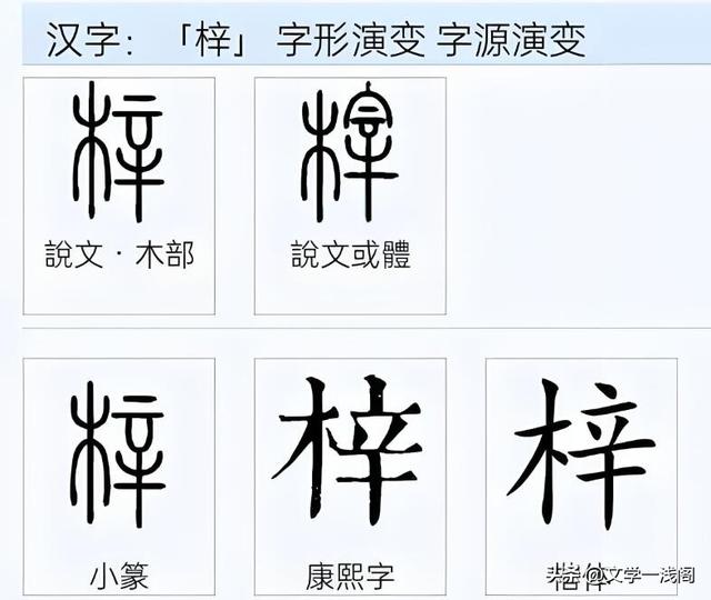 梓字正確讀音及桑梓含義解析-圖7 梓字正確讀音及桑梓含義解析-圖7