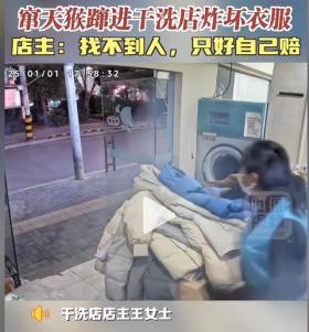 竄天猴飛入干洗店致慘重?fù)p失-圖3 竄天猴飛入干洗店致慘重?fù)p失-圖3