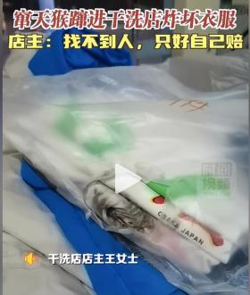 竄天猴飛入干洗店致慘重?fù)p失-圖5 竄天猴飛入干洗店致慘重?fù)p失-圖5