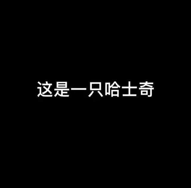 冬日暖被窩玩手機(jī)必備神器-圖14 冬日暖被窩玩手機(jī)必備神器-圖14