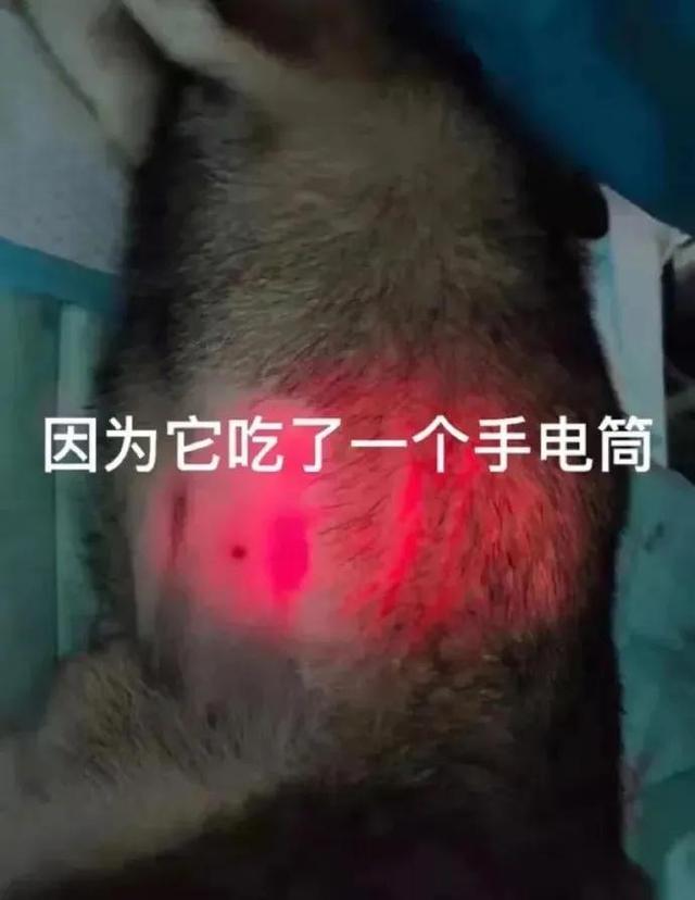 冬日暖被窩玩手機(jī)必備神器-圖17 冬日暖被窩玩手機(jī)必備神器-圖17