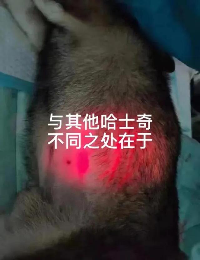冬日暖被窩玩手機(jī)必備神器-圖16 冬日暖被窩玩手機(jī)必備神器-圖16