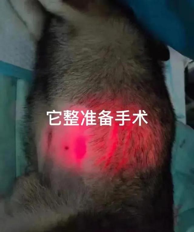 冬日暖被窩玩手機(jī)必備神器-圖15 冬日暖被窩玩手機(jī)必備神器-圖15